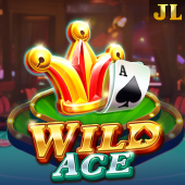 58wi slot Wild Ace